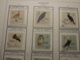 Delcampe - BEAUX TIMBRES THEMATIQUES ANIMAUX ESPAGNE ITALIE FINLANDE MONACO (oiseaux)POLOGNE ETC NEUFS*  ET OBLITERES PARFAIT  ETAT - Sonstige & Ohne Zuordnung