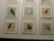 Delcampe - BEAUX TIMBRES THEMATIQUES ANIMAUX ESPAGNE ITALIE FINLANDE MONACO (oiseaux)POLOGNE ETC NEUFS*  ET OBLITERES PARFAIT  ETAT - Sonstige & Ohne Zuordnung