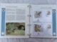 Delcampe - WWF 2 Luxury Albums And Slipcases With Series And FDCs Of Endangered Species MNH (Mint Never Hinged) - Verzamelingen & Reeksen