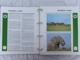 Delcampe - WWF 2 Luxury Albums And Slipcases With Series And FDCs Of Endangered Species MNH (Mint Never Hinged) - Colecciones & Series
