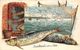 England Essex, Southend-on-Sea, Fishing, Fish, Embossed Souvenir 1909 - Andere & Zonder Classificatie