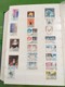 Delcampe - LOT N° 1127  MONACO Un Bon Classeur De Timbres Neufs ** Ou Obl. - Collections (en Albums)