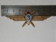 USSR SOVIET MILITARY PILOT III CLASS WINGS ENAMEL BADGE 220 - Militaria