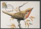 55;BUZIN . LE ROUGE-GORGE - 1985-.. Oiseaux (Buzin)