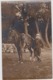 FRENCH CAVALRYMAN - ORIGINAL PHOTO - Uniformes