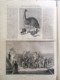 Nuovo Giornale Illustrato Universale 5 Giugno 1870 Castello Bari Polo Spedizione - Voor 1900
