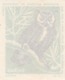 PORTUGAL MATCHBOX LABEL - VIGNETTE - CINDERELA - BIRDS - BIRD - OWL - - Zündholzschachteletiketten