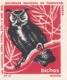 PORTUGAL MATCHBOX LABEL - VIGNETTE - CINDERELA - BIRDS - BIRD - OWL - - Zündholzschachteletiketten