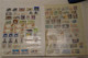 Delcampe - Lot With German Stamps In Albums - Lots & Kiloware (min. 1000 Stück)