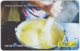 BRASIL K-086 Magnetic CTBC - Food, Traditional Meal - Used - Brésil