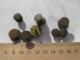 Delcampe - Ancient Bronze Cufflinks With Inserts 19 AD - Archeologia