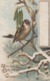 100% Silk ; Bird Birthday Postcard , 00-10s ; John Winsch - Other & Unclassified