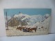 J.J. 4012. AU GRAND SAINT BERNARD SUISSE ALPES PENNINES LES CHIENS SAUVETEURS CPA - Berna