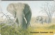South Africa - 3 - Elephant - CP SAEGC - Sudafrica