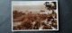 Liban Lebanon Panorama De SAIDA   1941  Original Photo - Líbano