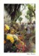 ** Lot De 5 Cartes ** MARCHE Market Markt : Midi Provence Cote D'Azur Mediterraéenne  - CPSM CPM Grand Format - - Mercados