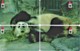 Hong Kong - Set Of 4 Giant Panda WWF Phonecards C - Hongkong