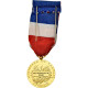 France, Médaille D'honneur Du Travail, Médaille, 2006, Non Circulé, Borrel.A - Sonstige