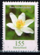 Bund 2019,Michel# 3472 O Blumen: Buschwindröschen - Used Stamps