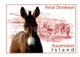 POSTAL POST CARD BURRO BURROS BURRITO DONKEY FERAL DONKEYS BORRICO ÂNE MULI DONK ASCENSION ISLAND ISLA ATLANTIC OCEAN... - Burros