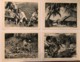 Documentation Pédagogique - Madagascar - Octobre1950 - Fiches Didactiques