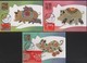 2018 R.O CHINA(Taiwan)- Maximum Cards -New Year's Greeting 3 Pcs./set With Cover - Cartoline Maximum