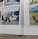 Delcampe - Tintin Au Congo - Casterman - Dos  Rouge - B2 - 1948 - Titre En Noir - Edition Belge - Etat Moyen - Tintin