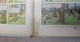 Delcampe - Tintin Au Congo - Casterman - Dos Jaune - B1 - 1946 - Titre En Blanc  - 1ère édition Originale Couleur  - Bon état - Tintin