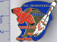 356-2 Space Russian Pin. Soyuz-ST Satellite OneWeb N3 Progress Plant. Guiana Eudocimus Ruber - Space