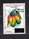 MADAGASCAR N° 1681AR   SURCHARGE LOCALE OBLITERE   COTE  ? €   FRUIT MANGUE  VOIR DESCRIPTION - Madagascar (1960-...)