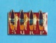 1 PIN'S  //  ** SURF ** - Ski Nautique