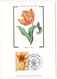 FRANCE - 4 Cartes /Soie - Regards Sur La Nature - PARIS 17-06-2000 - Papillon, Tulipa Lutea, Allosaure, Girafe Réticulée - Storia Postale