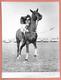 Delcampe - PHOTO PRESS - POLO HORSES CHEVAL - CM. 21,5X16,5 - Sport