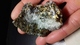 Chalcopyrite Et Fluorine - Minerals