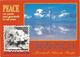 Marshall Is 1991 Majuro White Tern Gygis Alba Bikini Atomic Bomb Atoll Viewcard - Marshall
