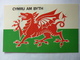 CYMRU AM BYTH - Pays De Galles Pour Toujours - Autres & Non Classés