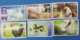 Cuba 2019 Farm`s Animals (Birds, Chicken, Goose, Pick, Cow, Rabbit, Duck) 6v + S/S MNH - Anatre