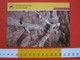 L1 FOSSILI POST CARD GERMANY - FOSSIL DES JAHRES 2010 - ARTHROPITYS SACHSEN CHEMNITZ PALAONTOLOGISCHE PALEO - Musei