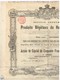 Ancienne Action Congolaise - Société Anonyme Des Produits Végétaux Du Haut-Kassaî - Titre De 1898 - Agriculture