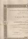 DIPLOME DE DAME INFIRMIERE N°1531 DE LA CROIX ROUGE FRANCAISE DELIVRE LE 20/05/1905 STE FRANCAISE SECOURS AUX BLESSES MI - Diploma & School Reports