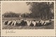 Autriche Vers 1929. Entier Postal Timbré Sur Commande. Joyeuses Pâques. Troupeau De Moutons, Photo Noir Et Blanc - Agriculture