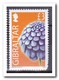 Gibraltar 2004, Postfris MNH, Flowers ( See Scans 2 Stamps With Damage ) - Gibraltar