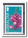 Gibraltar 2004, Postfris MNH, Flowers ( See Scans 2 Stamps With Damage ) - Gibraltar