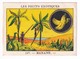 Image Années 1950 Casino Fruit Exotique Banane Banana Bananier A31-9 - Other & Unclassified