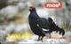 CARTE-PREPAYEE-2001-GSM-MOBITEL-SLOVENIE-2500 Sit-COQ BRUYERE-TBE-RARE - Gallinaceans & Pheasants