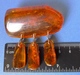 Vintage Jewelry Natural Yellow Honey Cognac Baltic Amber Gems Big BROOCH Charm 23g #16k - Brooches