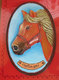 CAVALLO HORSE HAFLINGER GESSO DIPINTO - Non Classificati