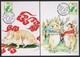 2019 Taiwan R.O.CHINA - Maximum Card.- New Year’s Greeting Postage Stamps 4 Pcs. - Cartes-maximum