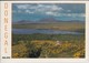 DONEGAL IRELAND - Panorama , Edit. John Hinde - Donegal