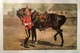 30009 Sergent 1st King's Dragoon Guards Anno 1908 - Regimente